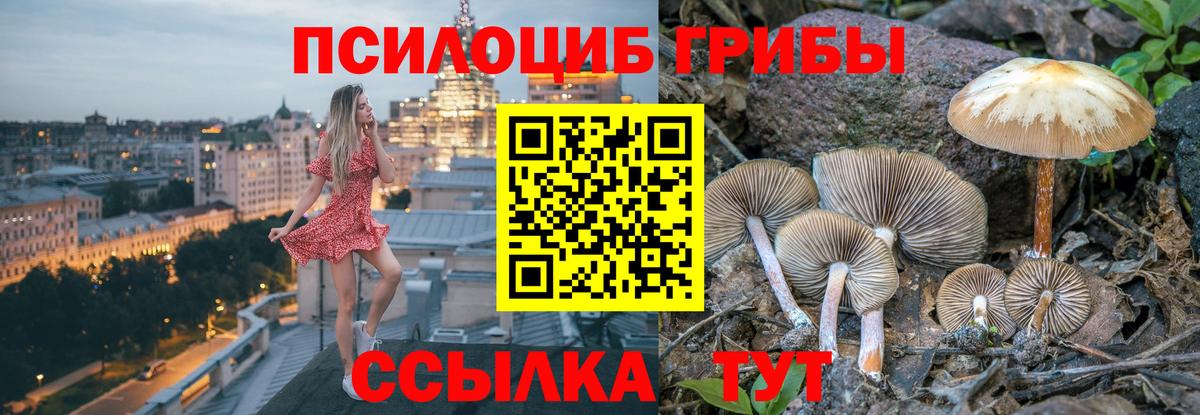 Псилоцибиновые грибы Psilocybine cubensis  Вход с VPN  купить наркотик  Белореченск 