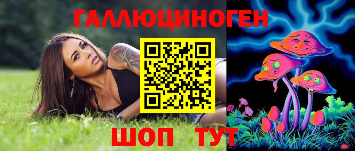 Псилоцибиновые грибы Cubensis Белореченск