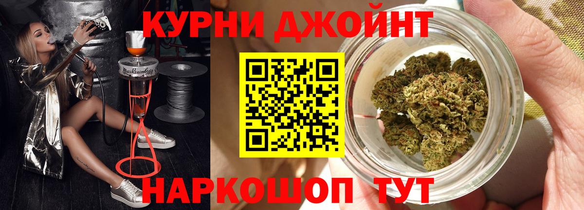 Канабис сатива Белореченск